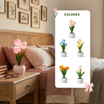 Variedad de tulipanes | Kyllife